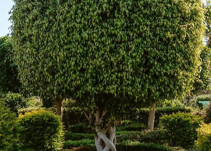 Villa Argaka Luxury *