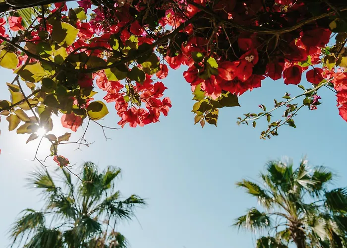 Villa Argaka Luxury *