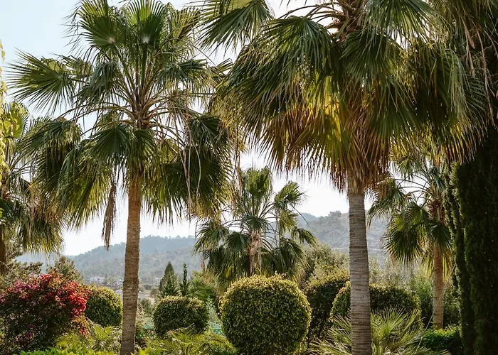 Villa Argaka Luxury Paphos