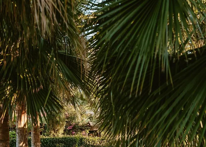 Argaka Luxury Paphos